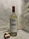 Pinot Grigio de Purcari 2023